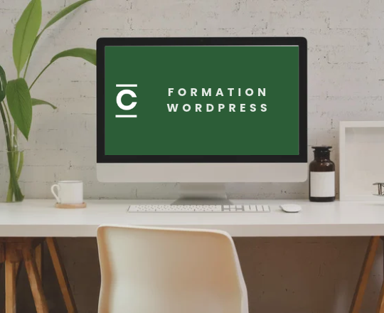 formation wordpress marseille